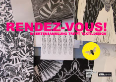 INSEKTENSAMMLUNG TRIFFT TEXTILDESIGN