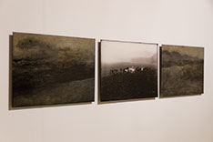 An die Scholle gebunden Nicolas Witschi