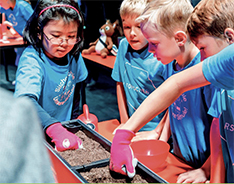 Schüler pflanzen Samen ein