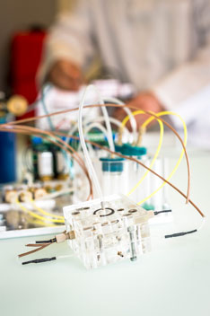 ta elektrophysiologie prog