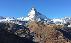 Online Summer Business School