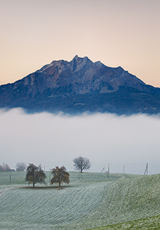 Pilatus mit Nebel und Bäumen im Vordergrund
