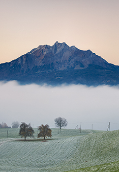 Mount Pilatus with trees and fog