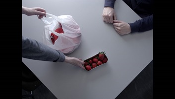 «Eine Laerche ist ein Baum und ein Vogel» von Michèle Flury, Bachelor Video, Hochschule Luzern - Design & Kunst