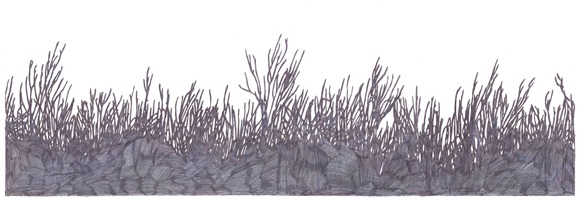 Mina Roth 3