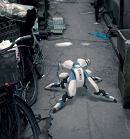 Roboter, Foto & Digital