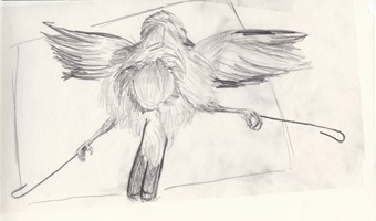 Präparator bei der Arbeit, Bleistift