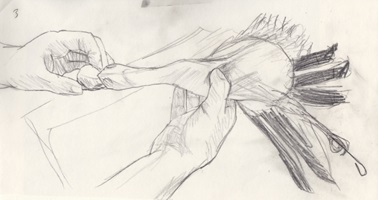 Präparator bei der Arbeit, Bleistift