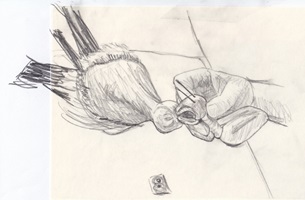 Präparator bei der Arbeit, Bleistift