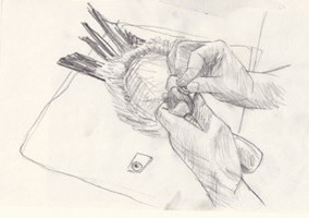 Präparator bei der Arbeit, Bleistift