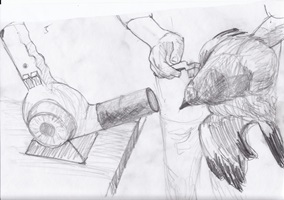 Präparator bei der Arbeit, Bleistift