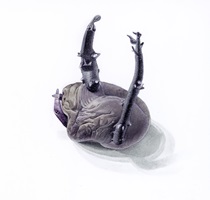 Blauer Schwede, Aquarell