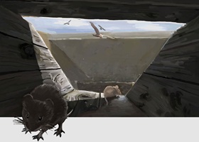 VON HOHEN MAUERN UND TIEFEN GRÄBEN