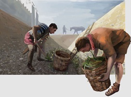 VON HOHEN MAUERN UND TIEFEN GRÄBEN