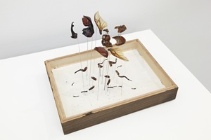 Explosionszeichnung eines Käfers