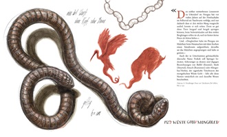 Doppelseite aus der Tatzelwurm Publikation