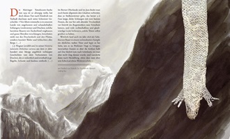 Doppelseite aus der Tatzelwurm Publikation