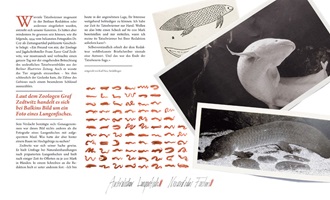 Doppelseite aus der Tatzelwurm Publikation