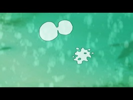 Filmstill- Herr Beule sieht rot – Die Evolution der Augen