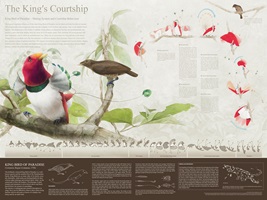 The King's courtship, Aquarell