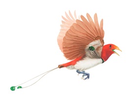 The King's courtship, Aquarell