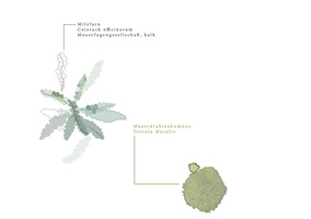 Interaktive Illustration