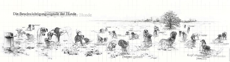 Beschwichtigungssignale