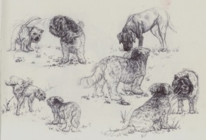 Arbeitsbuch / Skizzen