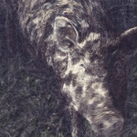 Jungsteinzeitliches Hausschwein aus der fertigen Serie