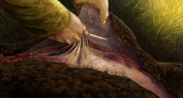 Zum Henker!, Analog & digitale Mischtechnik