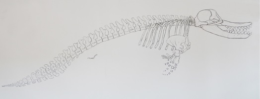 Leviathan - copyright Nina Sasse