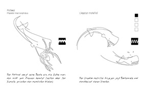Leviathan - copyright Nina Sasse