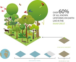 Infografik Projekt