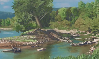 Malerei Seitengerinne, Zoom