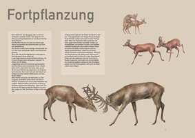 Layout Fortpflanzungsarbeit