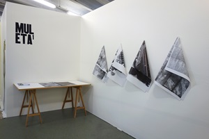 Beatrice Brechbühl – MULETA1, Auszug 01