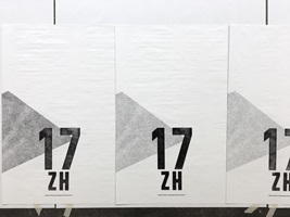 Beatrice Brechbühl – MULETA1, Auszug 04