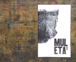 Beatrice Brechbühl – MULETA1, Auszug 05