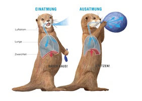 Celine Endras – EIN TIERISCHES TRIO, Auszug 01
