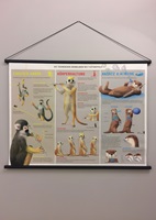 Celine Endras – EIN TIERISCHES TRIO, Auszug 04