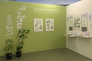 Elena Schmid – Wildwachsende Fremdpflanzen, Auszug 01