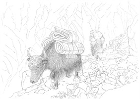 Julia Erni – Hausyak