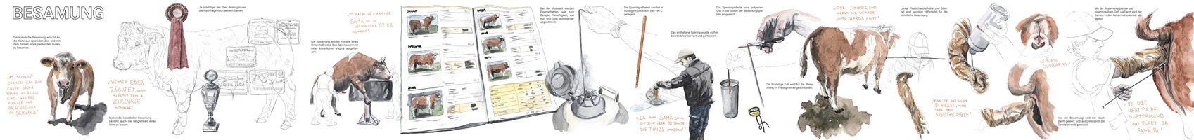 Lea Böhlen – Fleisch aus Mutterkuhhaltung, Auszug 02