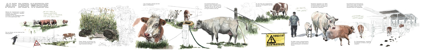 Lea Böhlen – Fleisch aus Mutterkuhhaltung, Auszug 03