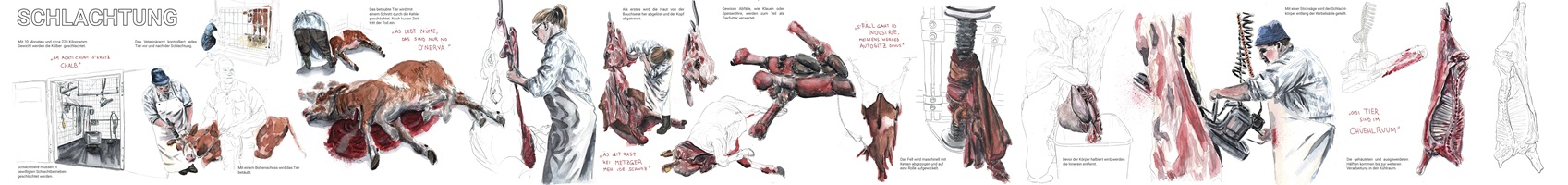 Lea Böhlen – Fleisch aus Mutterkuhhaltung, Auszug 05