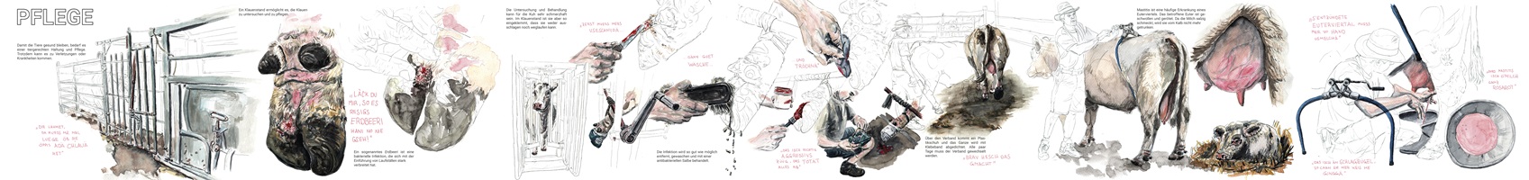 Lea Böhlen – Fleisch aus Mutterkuhhaltung, Auszug 06