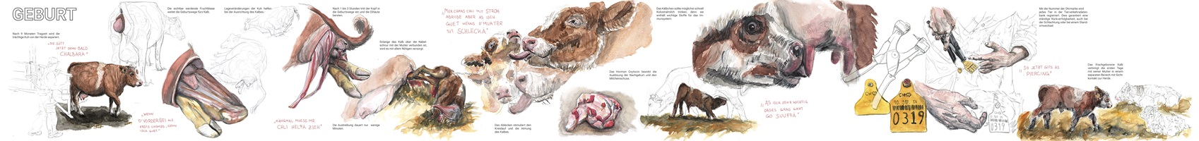 Lea Böhlen – Fleisch aus Mutterkuhhaltung, Auszug 07