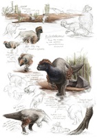 Misha Baldachin – Feathered Dinosaurs, Auszug 01