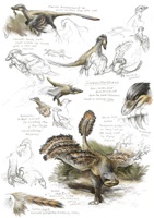 Misha Baldachin – Feathered Dinosaurs, Auszug 02