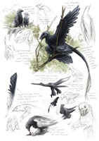 Misha Baldachin – Feathered Dinosaurs, Auszug 03